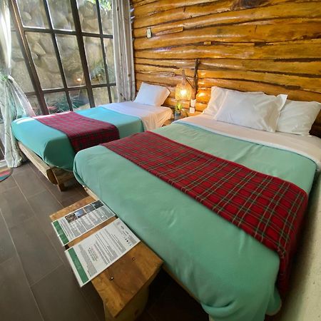 Eco Quechua Lodge Санта Тереза Екстериор снимка
