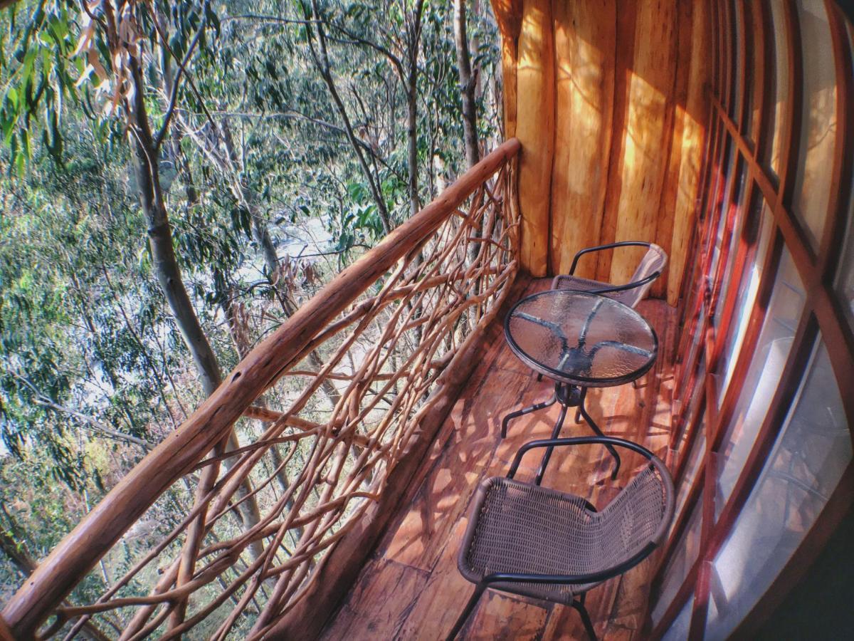 Eco Quechua Lodge Санта Тереза Екстериор снимка