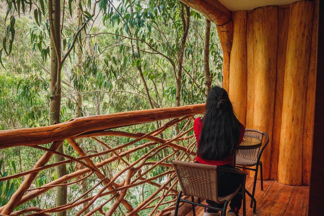 Eco Quechua Lodge Санта Тереза Екстериор снимка